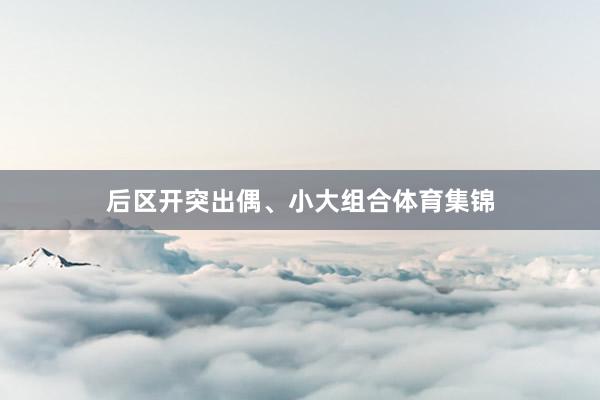 后区开突出偶、小大组合体育集锦