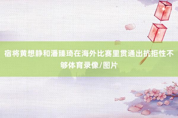 宿将黄想静和潘臻琦在海外比赛里贯通出抗拒性不够体育录像/图片