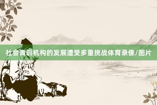 社会青训机构的发展遭受多重挑战体育录像/图片