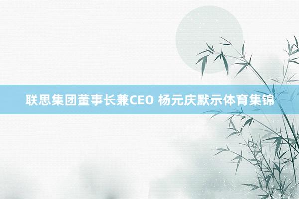联思集团董事长兼CEO 杨元庆默示体育集锦