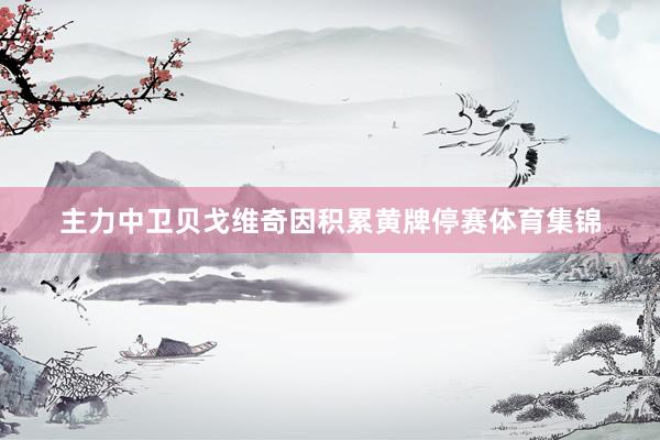 主力中卫贝戈维奇因积累黄牌停赛体育集锦
