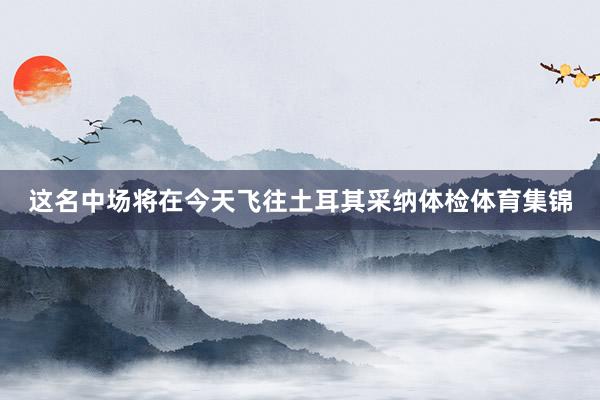 这名中场将在今天飞往土耳其采纳体检体育集锦