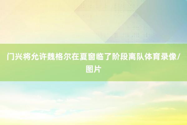 门兴将允许魏格尔在夏窗临了阶段离队体育录像/图片
