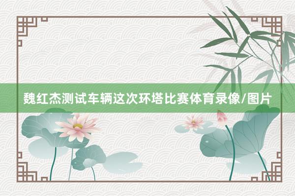 魏红杰测试车辆　　这次环塔比赛体育录像/图片