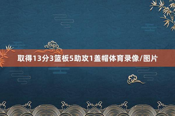 取得13分3篮板5助攻1盖帽体育录像/图片