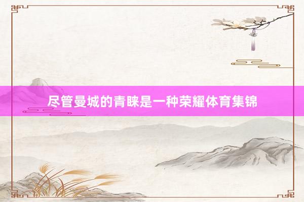 尽管曼城的青睐是一种荣耀体育集锦