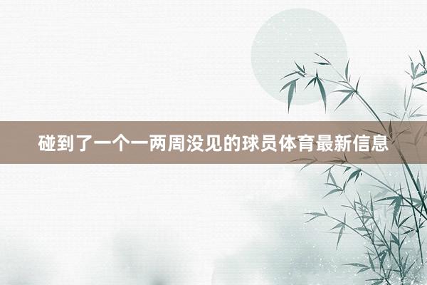 碰到了一个一两周没见的球员体育最新信息