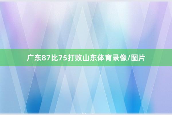广东87比75打败山东体育录像/图片