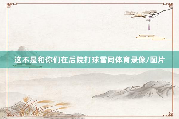 这不是和你们在后院打球雷同体育录像/图片