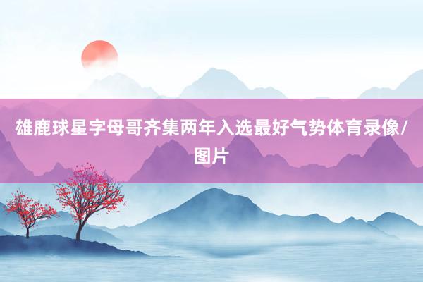 雄鹿球星字母哥齐集两年入选最好气势体育录像/图片