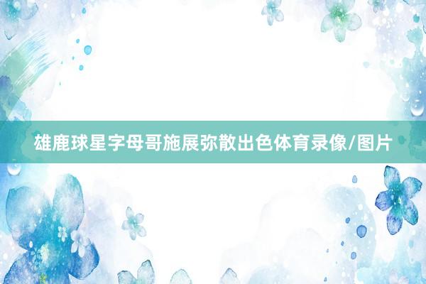 雄鹿球星字母哥施展弥散出色体育录像/图片