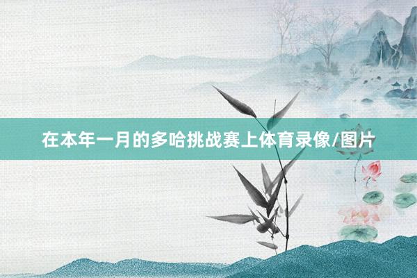 在本年一月的多哈挑战赛上体育录像/图片