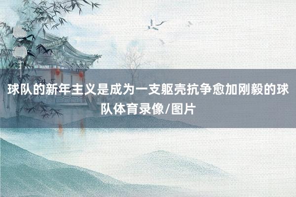 球队的新年主义是成为一支躯壳抗争愈加刚毅的球队体育录像/图片