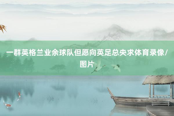 一群英格兰业余球队但愿向英足总央求体育录像/图片