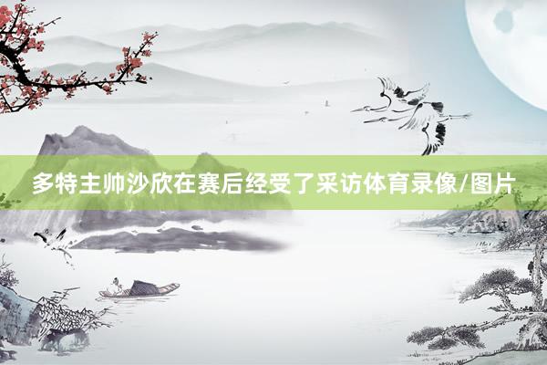 多特主帅沙欣在赛后经受了采访体育录像/图片