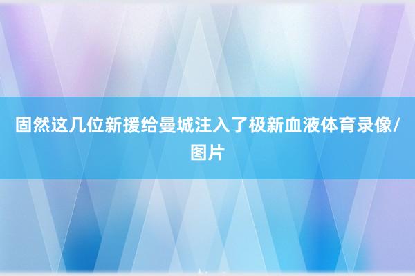 固然这几位新援给曼城注入了极新血液体育录像/图片