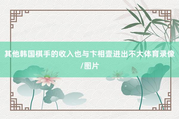 其他韩国棋手的收入也与卞相壹进出不大体育录像/图片