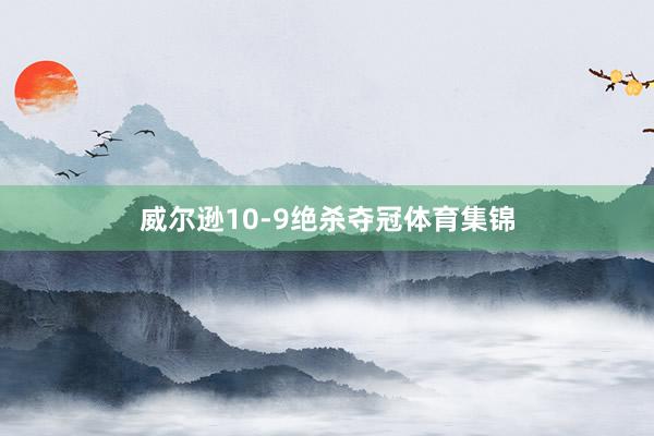 威尔逊10-9绝杀夺冠体育集锦