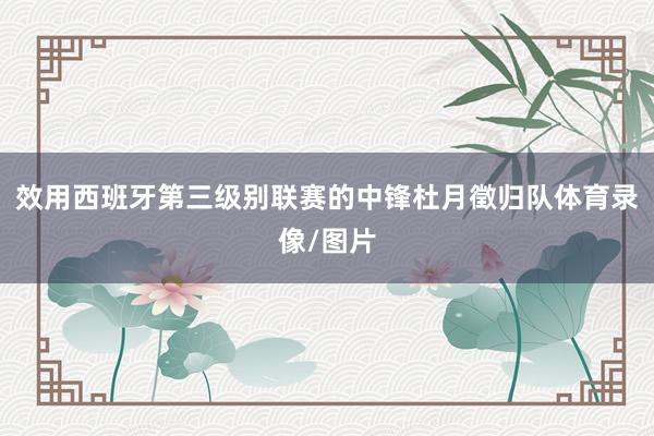 效用西班牙第三级别联赛的中锋杜月徵归队体育录像/图片
