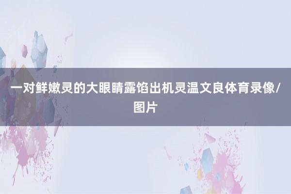 一对鲜嫩灵的大眼睛露馅出机灵温文良体育录像/图片