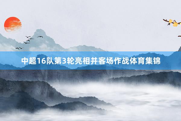 中超16队第3轮亮相并客场作战体育集锦