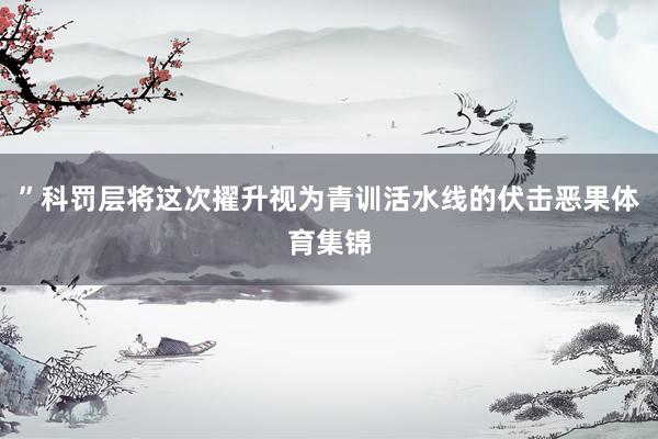 ”科罚层将这次擢升视为青训活水线的伏击恶果体育集锦