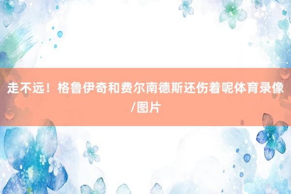 走不远!格鲁伊奇和费尔南德斯还伤着呢体育录像/图片