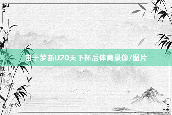 由于梦断U20天下杯后体育录像/图片