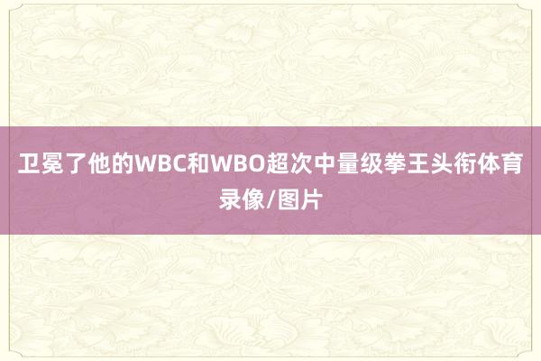 卫冕了他的WBC和WBO超次中量级拳王头衔体育录像/图片