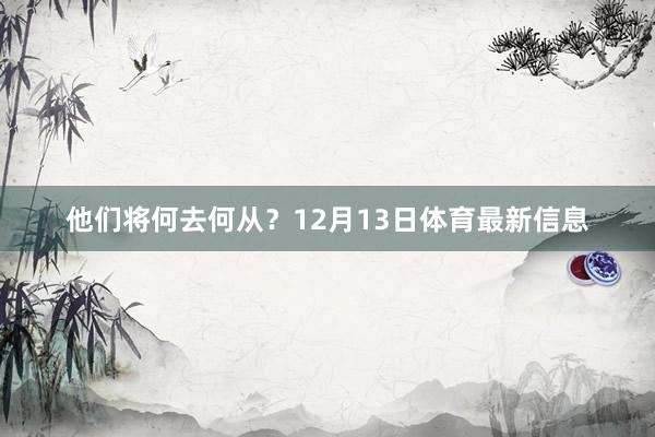 他们将何去何从？12月13日体育最新信息