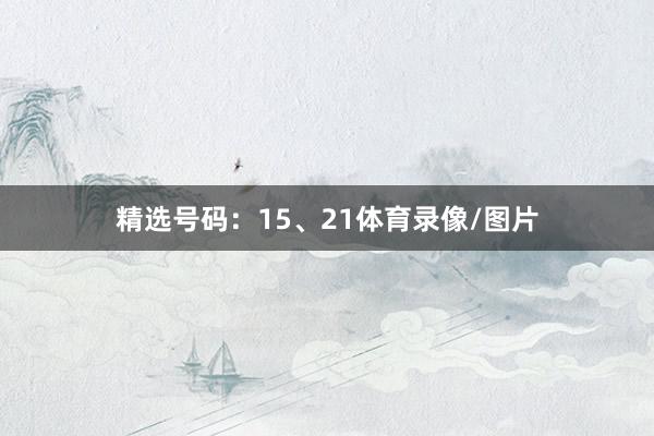 精选号码:15、21体育录像/图片